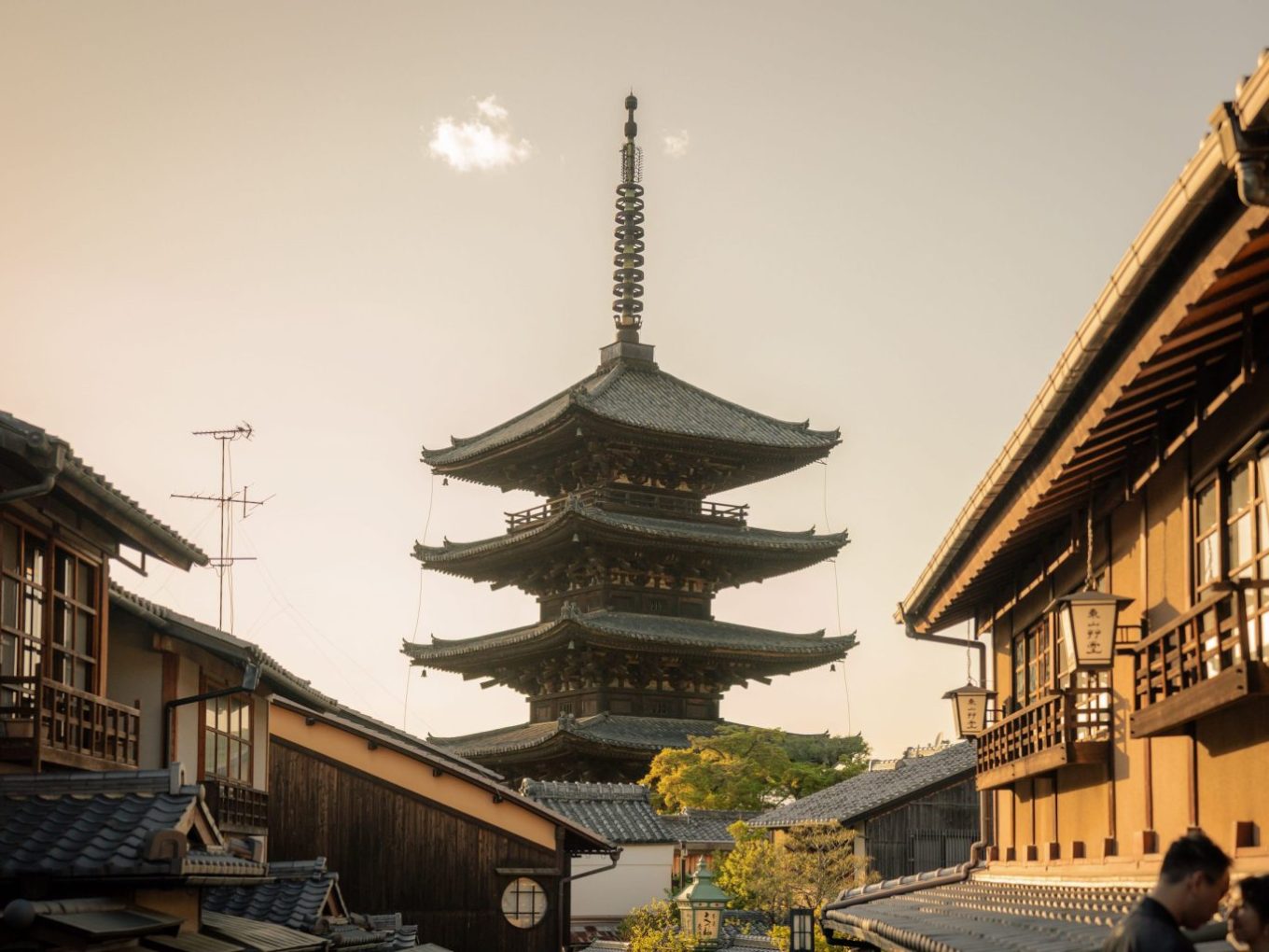 Japan December 2026 Tour