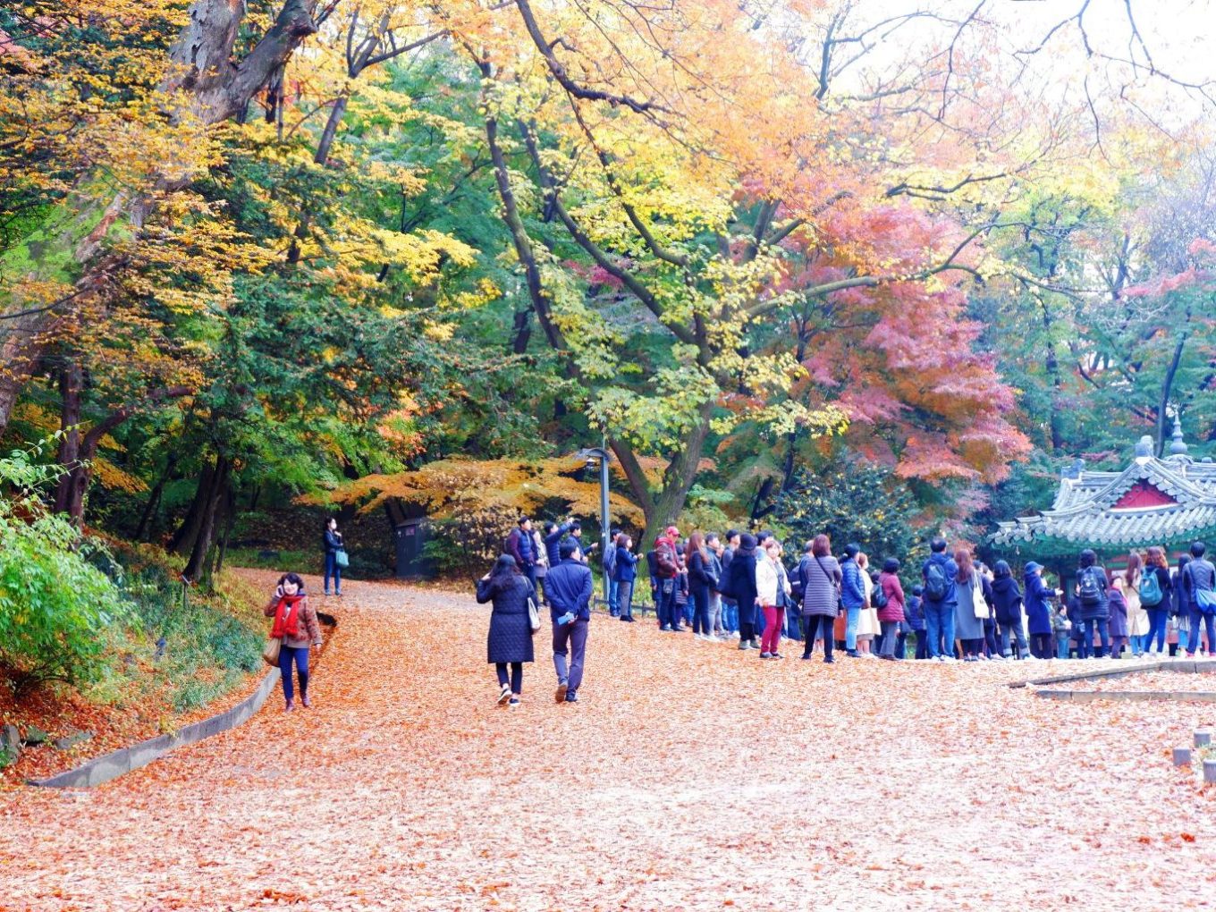 Colors of Korea