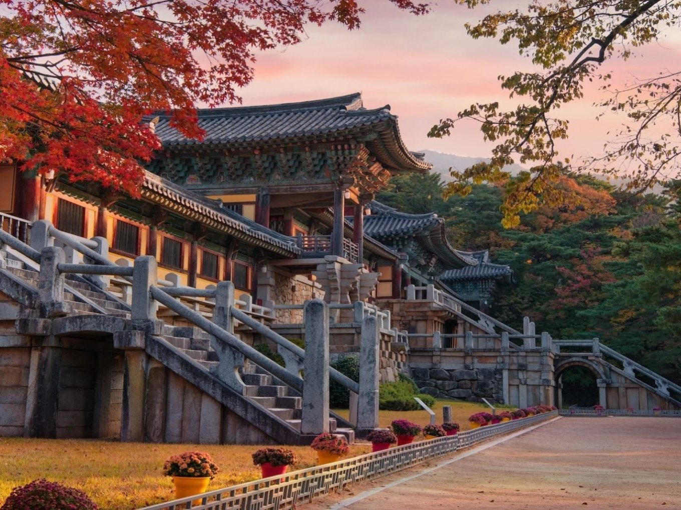 Discover Korea Treasure